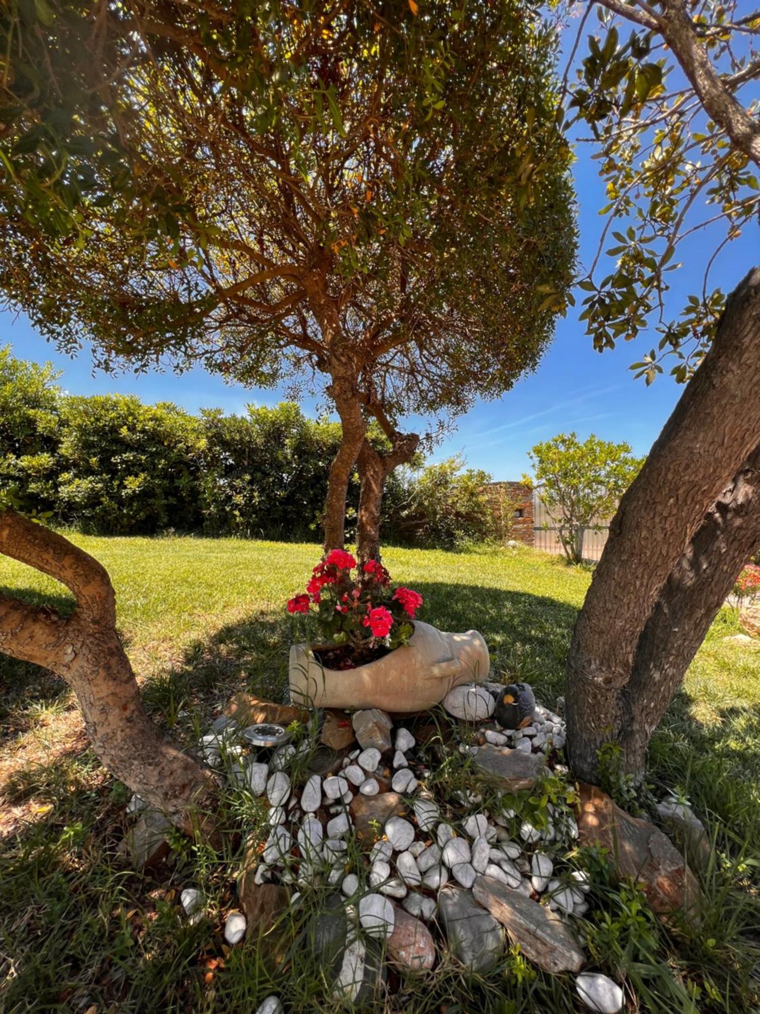 Villa Patrizia สตินติโน ภายนอก รูปภาพ